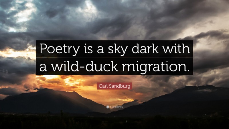 Carl Sandburg Quote: “Poetry is a sky dark with a wild-duck migration.”