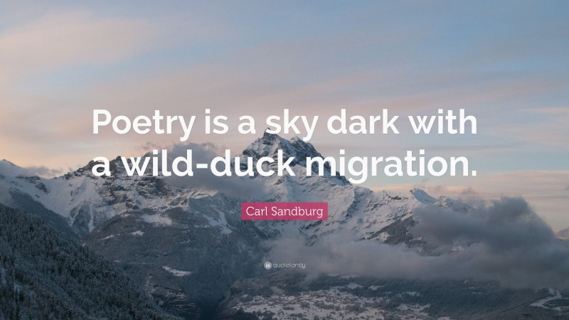 Carl Sandburg Quote: “Poetry is a sky dark with a wild-duck migration.”