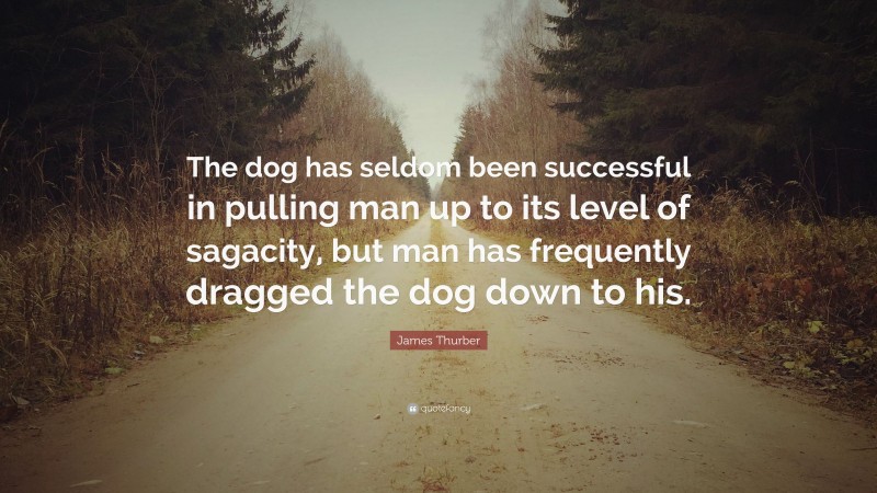 James Thurber Quote: “The dog has seldom been successful in pulling man up to its level of sagacity, but man has frequently dragged the dog down to his.”