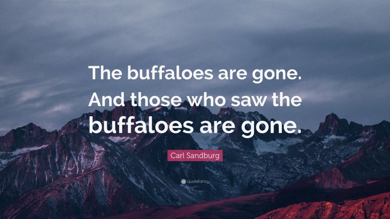 Carl Sandburg Quote: “The buffaloes are gone. And those who saw the buffaloes are gone.”