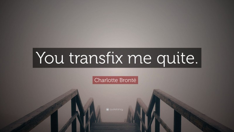 Charlotte Brontë Quote: “You transfix me quite.”