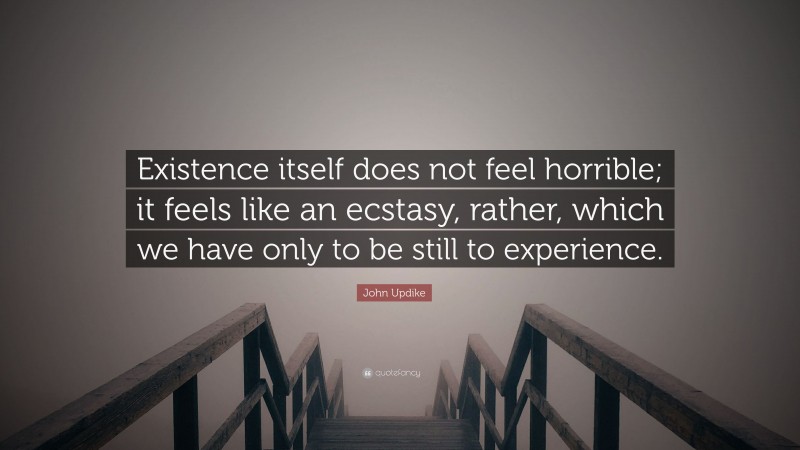 John Updike Quote: “Existence itself does not feel horrible; it feels like an ecstasy, rather, which we have only to be still to experience.”