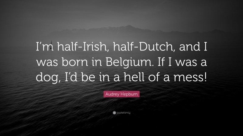 Audrey Hepburn Quote: “I’m half-Irish, half-Dutch, and I was born in Belgium. If I was a dog, I’d be in a hell of a mess!”