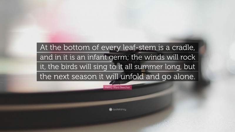 Henry Ward Beecher Quote: “At the bottom of every leaf-stem is a cradle, and in it is an infant germ; the winds will rock it, the birds will sing to it all summer long, but the next season it will unfold and go alone.”