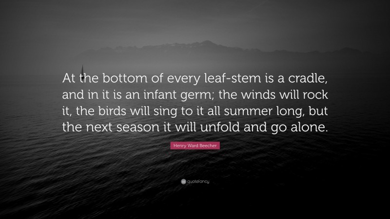 Henry Ward Beecher Quote: “At the bottom of every leaf-stem is a cradle, and in it is an infant germ; the winds will rock it, the birds will sing to it all summer long, but the next season it will unfold and go alone.”