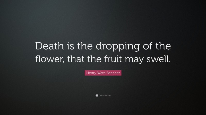 Henry Ward Beecher Quote: “Death is the dropping of the flower, that the fruit may swell.”