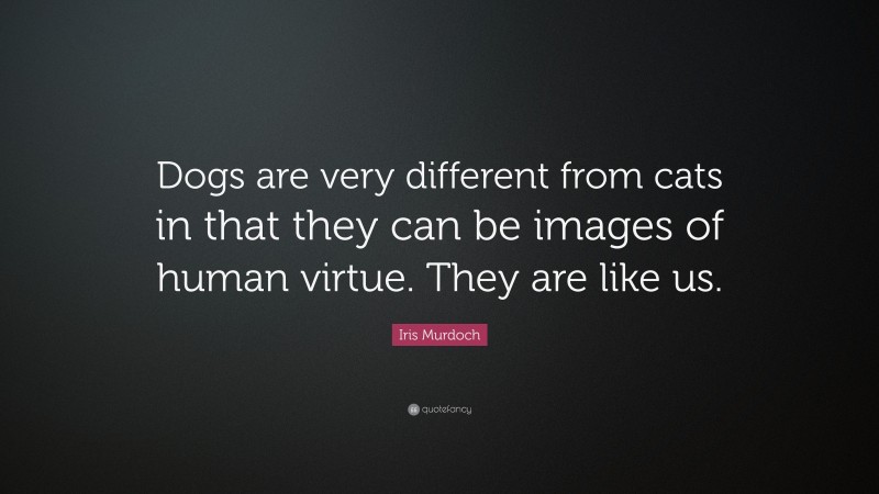 Iris Murdoch Quote: “Dogs are very different from cats in that they can be images of human virtue. They are like us.”