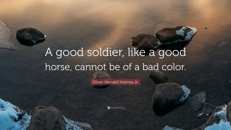 Oliver Wendell Holmes Jr. Quote: “A good soldier, like a good horse, cannot be of a bad color.”