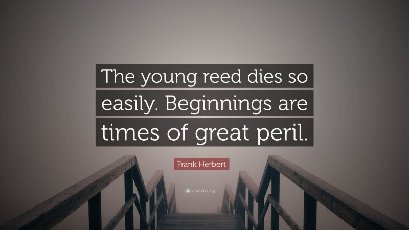 Frank Herbert Quote: “The young reed dies so easily. Beginnings are times of great peril.”