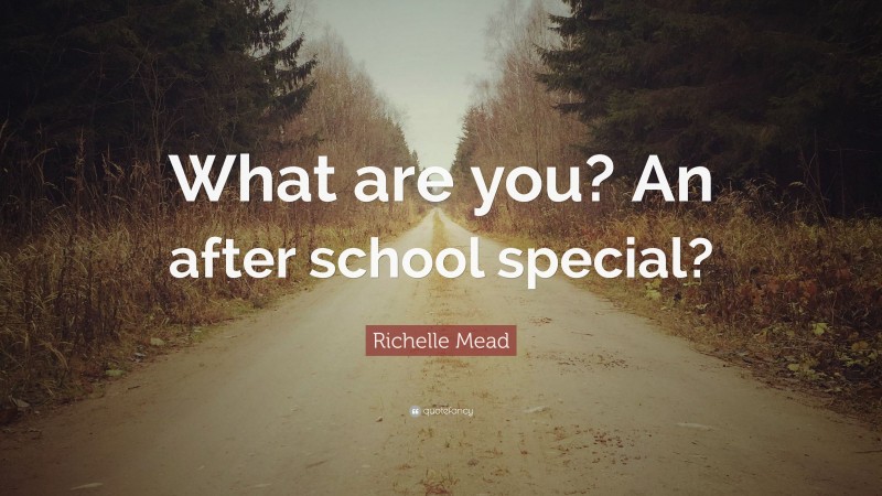 Richelle Mead Quote: “What are you? An after school special?”