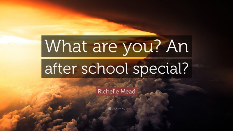 Richelle Mead Quote: “What are you? An after school special?”