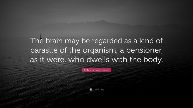 Arthur Schopenhauer Quote: “The brain may be regarded as a kind of parasite of the organism, a pensioner, as it were, who dwells with the body.”
