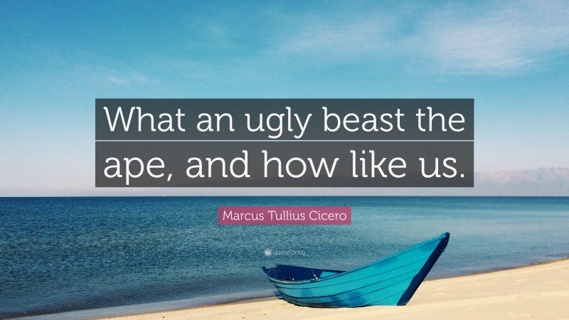 Marcus Tullius Cicero Quote: “What an ugly beast the ape, and how like us.”