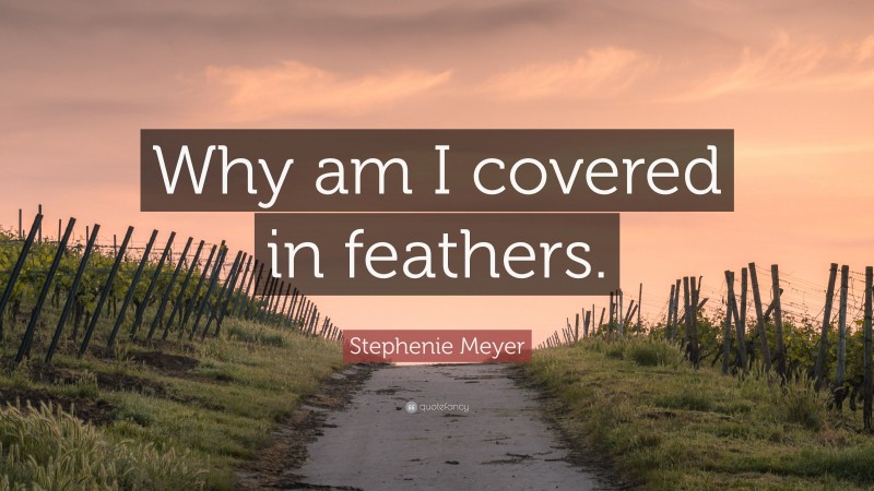 Stephenie Meyer Quote: “Why am I covered in feathers.”