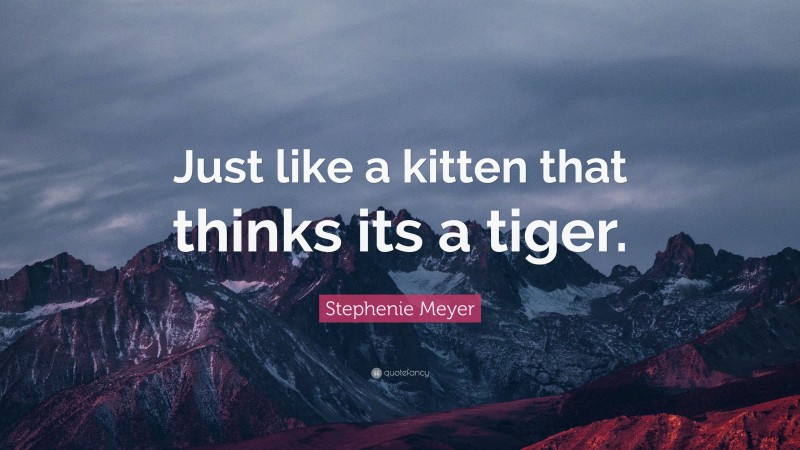 Stephenie Meyer Quote: “Just like a kitten that thinks its a tiger.”