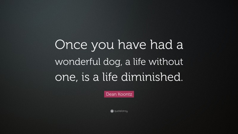 Dean Koontz Quote: “Once you have had a wonderful dog, a life without one, is a life diminished.”