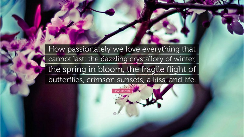 Dean Koontz Quote: “How passionately we love everything that cannot last: the dazzling crystallory of winter, the spring in bloom, the fragile flight of butterflies, crimson sunsets, a kiss, and life.”