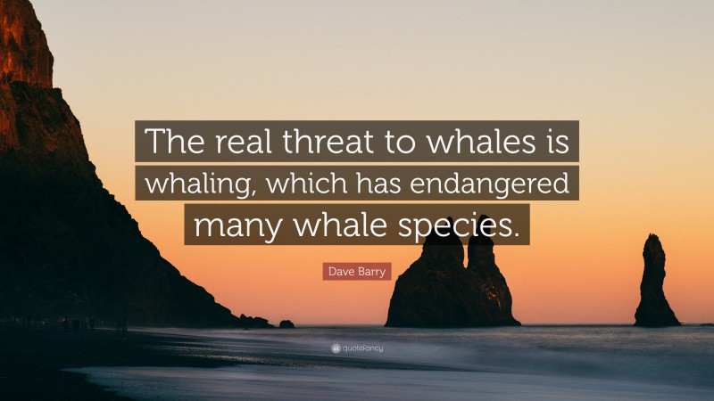 Dave Barry Quote: “The real threat to whales is whaling, which has endangered many whale species.”
