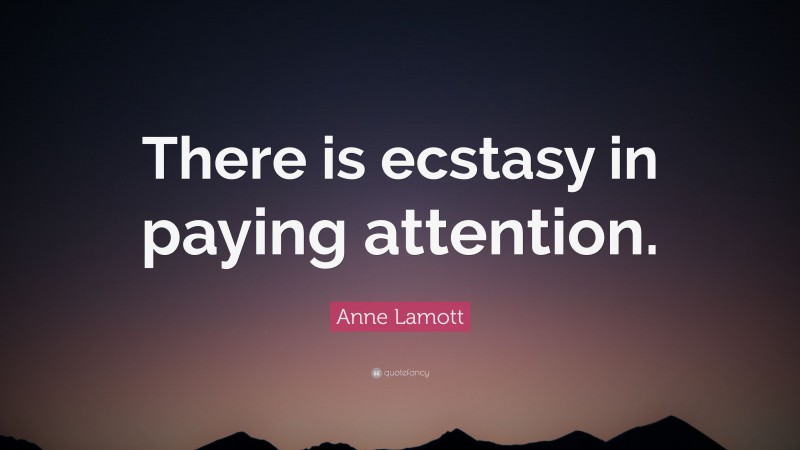 Anne Lamott Quote: “There is ecstasy in paying attention.”