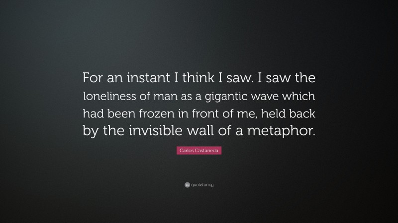 Carlos Castaneda Quote: “For an instant I think I saw. I saw the loneliness of man as a gigantic wave which had been frozen in front of me, held back by the invisible wall of a metaphor.”