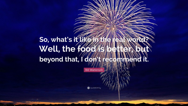 Bill Watterson Quote: “So, what’s it like in the real world? Well, the food is better, but beyond that, I don’t recommend it.”