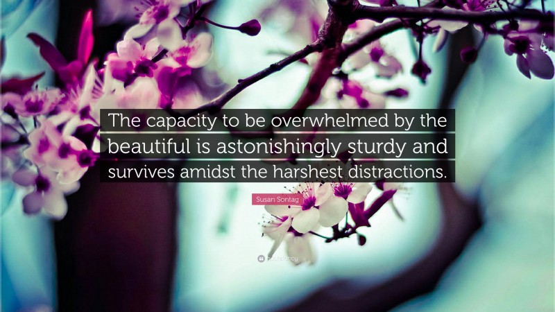 Susan Sontag Quote: “The capacity to be overwhelmed by the beautiful is astonishingly sturdy and survives amidst the harshest distractions.”