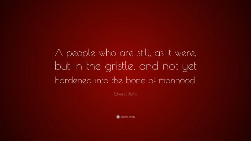 Edmund Burke Quote: “A people who are still, as it were, but in the gristle, and not yet hardened into the bone of manhood.”
