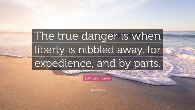 Edmund Burke Quote: “The true danger is when liberty is nibbled away, for expedience, and by parts.”