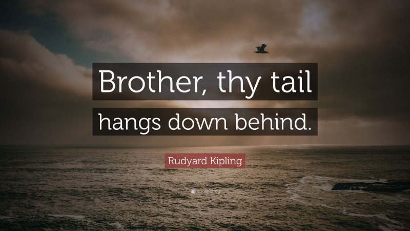 Rudyard Kipling Quote: “Brother, thy tail hangs down behind.”