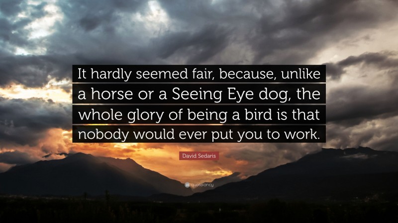 David Sedaris Quote: “It hardly seemed fair, because, unlike a horse or a Seeing Eye dog, the whole glory of being a bird is that nobody would ever put you to work.”