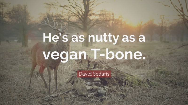 David Sedaris Quote: “He’s as nutty as a vegan T-bone.”