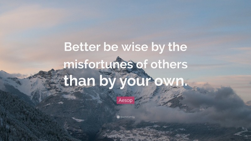 Aesop Quote: “Better be wise by the misfortunes of others than by your own.”