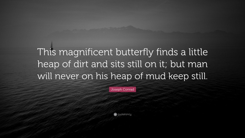 Joseph Conrad Quote: “This magnificent butterfly finds a little heap of dirt and sits still on it; but man will never on his heap of mud keep still.”