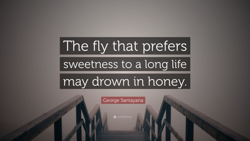 George Santayana Quote: “The fly that prefers sweetness to a long life may drown in honey.”
