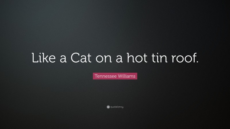Tennessee Williams Quote: “Like a Cat on a hot tin roof.”