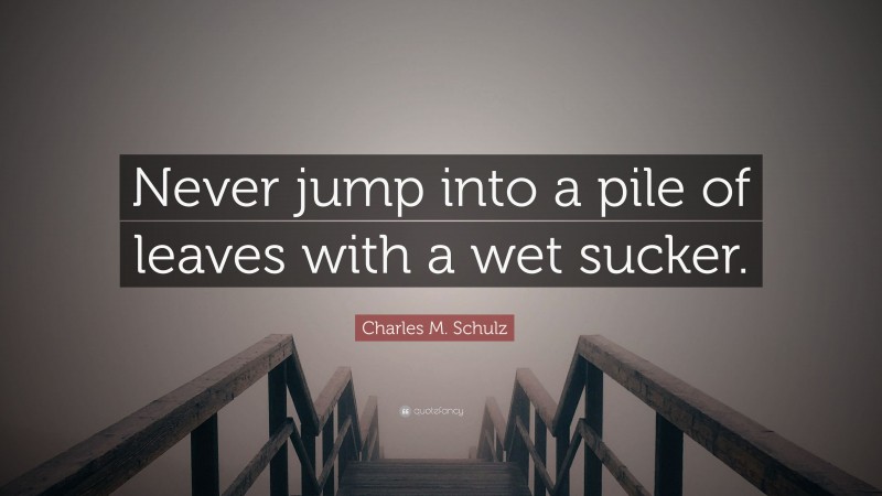 Charles M. Schulz Quote: “Never jump into a pile of leaves with a wet sucker.”