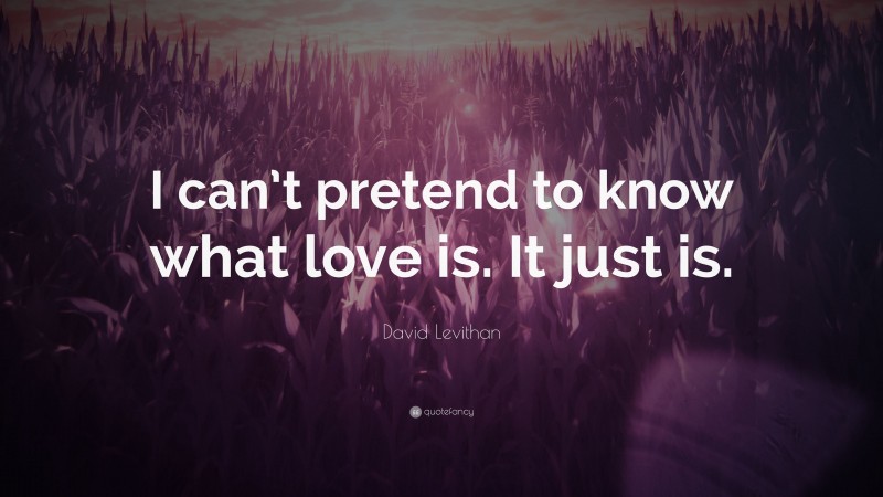 David Levithan Quote: “I can’t pretend to know what love is. It just is.”