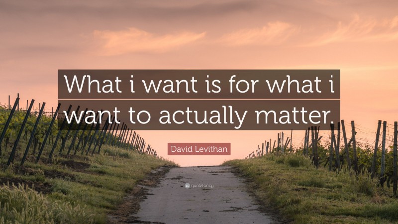 David Levithan Quote: “What i want is for what i want to actually matter.”
