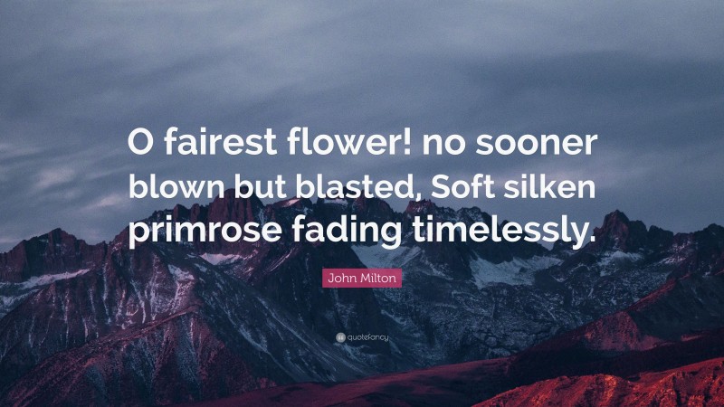 John Milton Quote: “O fairest flower! no sooner blown but blasted, Soft silken primrose fading timelessly.”