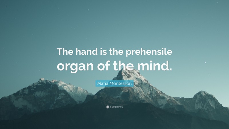 Maria Montessori Quote: “The hand is the prehensile organ of the mind.”
