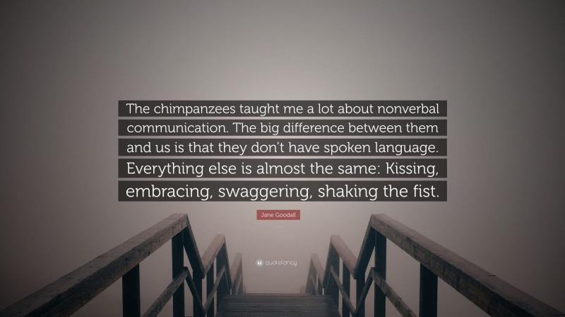 Jane Goodall Quote: “The chimpanzees taught me a lot about nonverbal communication. The big difference between them and us is that they don’t have spoken language. Everything else is almost the same: Kissing, embracing, swaggering, shaking the fist.”