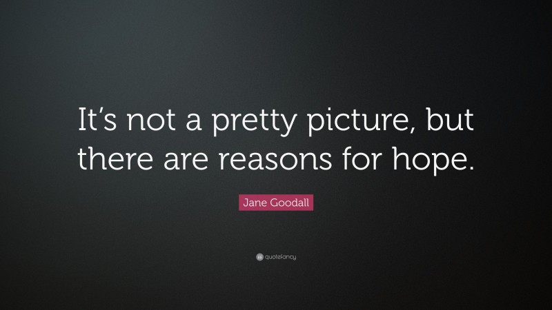 Jane Goodall Quote: “It’s not a pretty picture, but there are reasons for hope.”