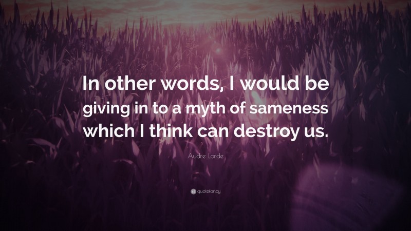 Audre Lorde Quote: “In other words, I would be giving in to a myth of sameness which I think can destroy us.”