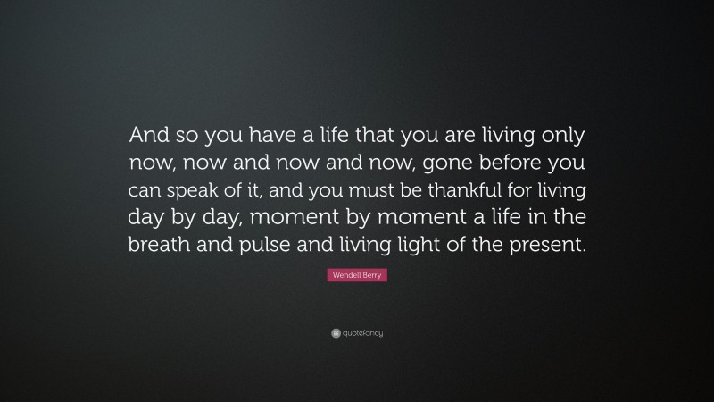 Wendell Berry Quote: “And so you have a life that you are living only now, now and now and now, gone before you can speak of it, and you must be thankful for living day by day, moment by moment a life in the breath and pulse and living light of the present.”