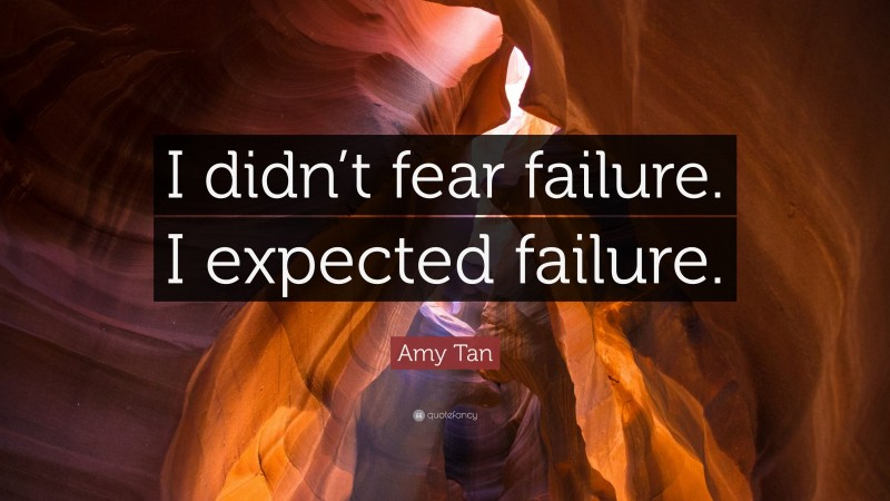 Amy Tan Quote: “I didn’t fear failure. I expected failure.”