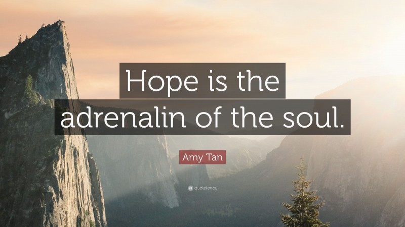 Amy Tan Quote: “Hope is the adrenalin of the soul.”