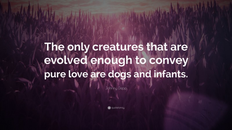 Johnny Depp Quote: “The only creatures that are evolved enough to convey pure love are dogs and infants.”
