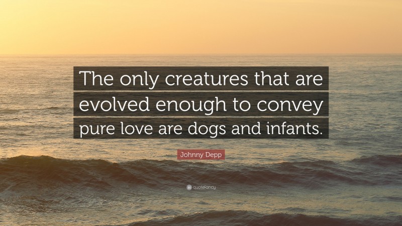 Johnny Depp Quote: “The only creatures that are evolved enough to convey pure love are dogs and infants.”