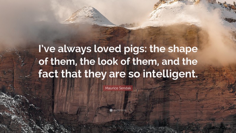 Maurice Sendak Quote: “I’ve always loved pigs: the shape of them, the look of them, and the fact that they are so intelligent.”