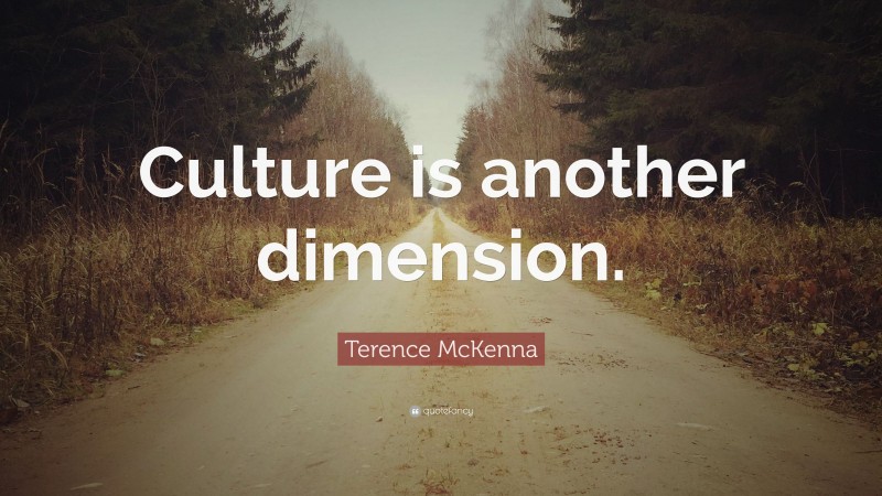 Terence McKenna Quote: “Culture is another dimension.”